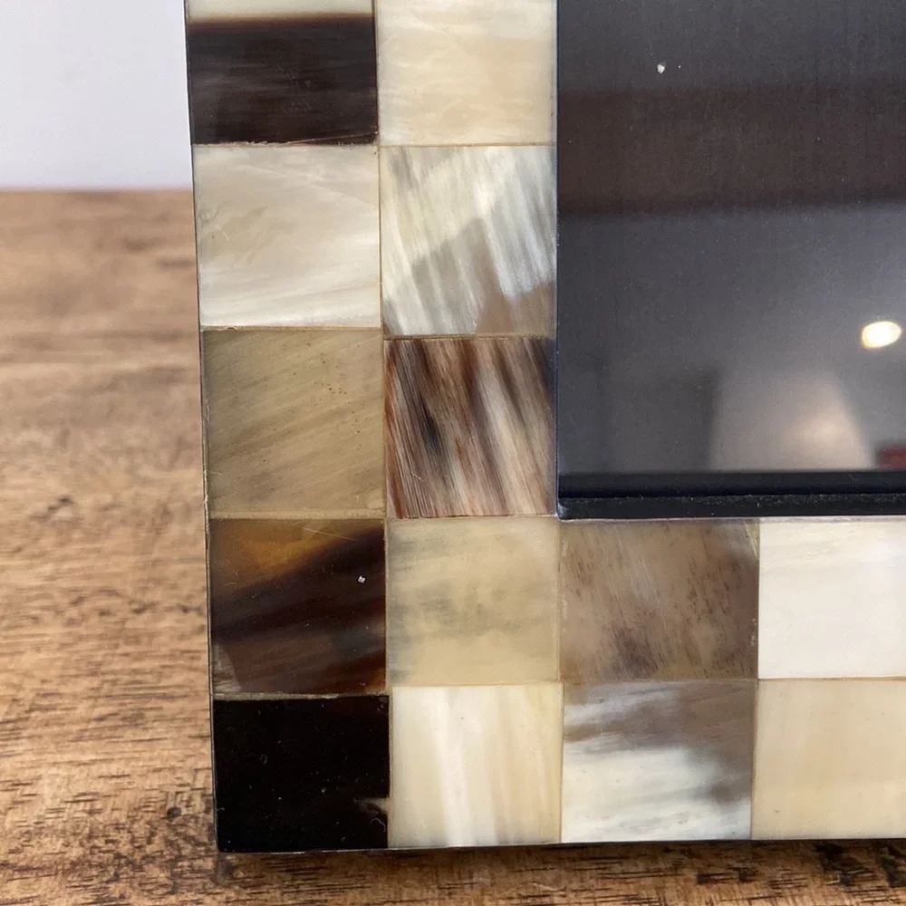 Z Gallerie Horn and Bone Picture Frame
